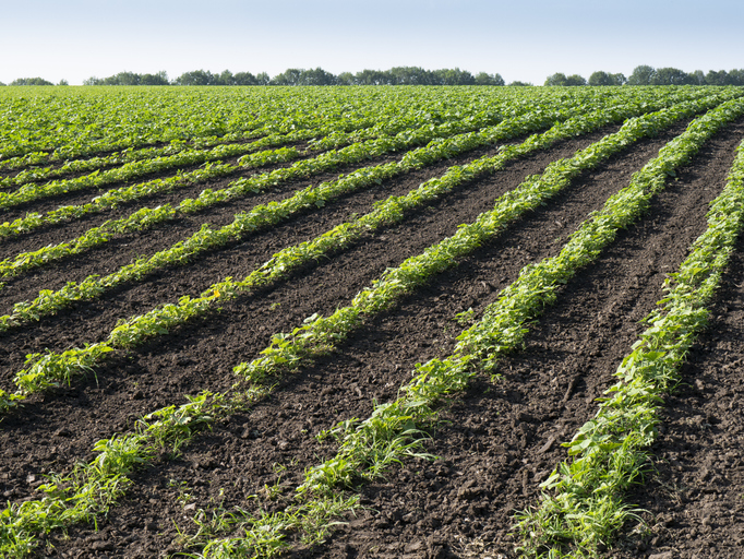 Agricultural Data